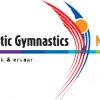 Gymnastics Fantastic 
