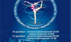 Кубок губернатора Новосибирской области 2013