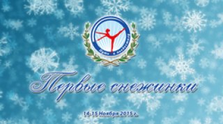Трансляция турнира "Первые снежинки"