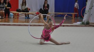 В Омск прибыли 150 спортсменок на чемпионат по художественной гимнастике В Омск прибыли 150 спортсменок на чемпионат по художественной гимнастике