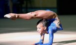 В Липецке прошло первенство по художественной гимнастике