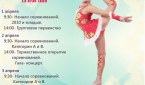 Организаторы приглашают принять участие в открытом первенстве по художественной гимнастике, посвященном 300 летию г. Бердска. 