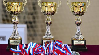 Итоги выступлений новосибирских гимнасток на соревнованиях юных гимнасток Ассоциации Спортивных клубов России по художественной гимнастике 