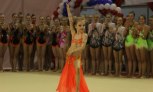 В Саранске прошел чемпионат Поволжья по художественной гимнастике