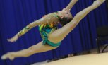 Завершился чемпионат Азербайджана по художественной гимнастике