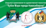 Найди себя на баннере с кубка мэра г. Новосибирска 2014