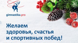 С Новым 2019 годом и Рождеством!