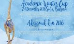 Трансляция турнира Academic Winter Cup 2016