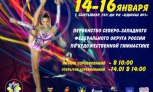 Итоги Первенства СЗФО 2016