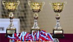 Итоги выступлений новосибирских гимнасток на соревнованиях юных гимнасток Ассоциации Спортивных клубов России по художественной гимнастике 