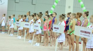 Результаты кубка мэра г. Новосибирска 2014