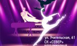 Фестиваль в честь Дня Гимнастики пройдет в Новосибирске