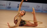 В Пензе с 23 по 26 апреля пройдет чемпионат России по художественной гимнастике