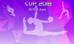 Трансляция турнира "Istanbul Rhytmics Cup"