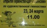 Открытое первенство ЦВР "Пашинский" по художественной гимнастике 23-24  марта 2012