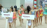 Куда пойти в Новосибирске заниматься художественной гимнастикой?