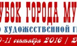 Завершился Кубок Мурманска 2016